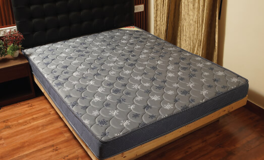 Iris Club Collection